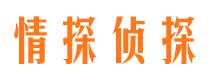 阜宁市调查公司